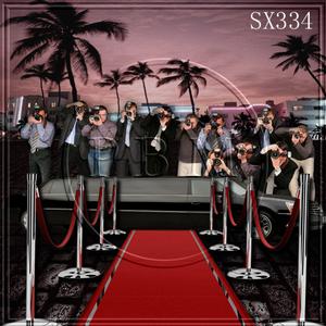 10'x10' SX334